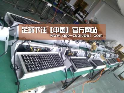 产品名称七(图1)