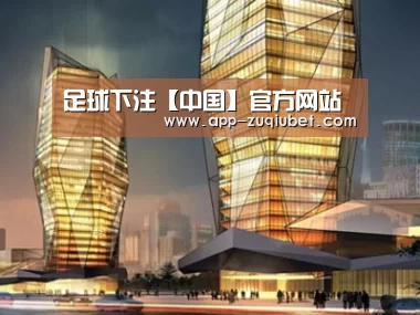 案例展示三