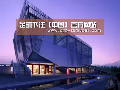 案例展示六