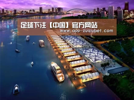 案例展示八